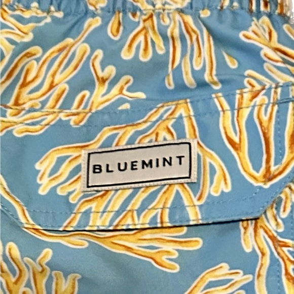 Bluemint arthus blue swim trunks NWT size small above the knee - Picture 2 of 5